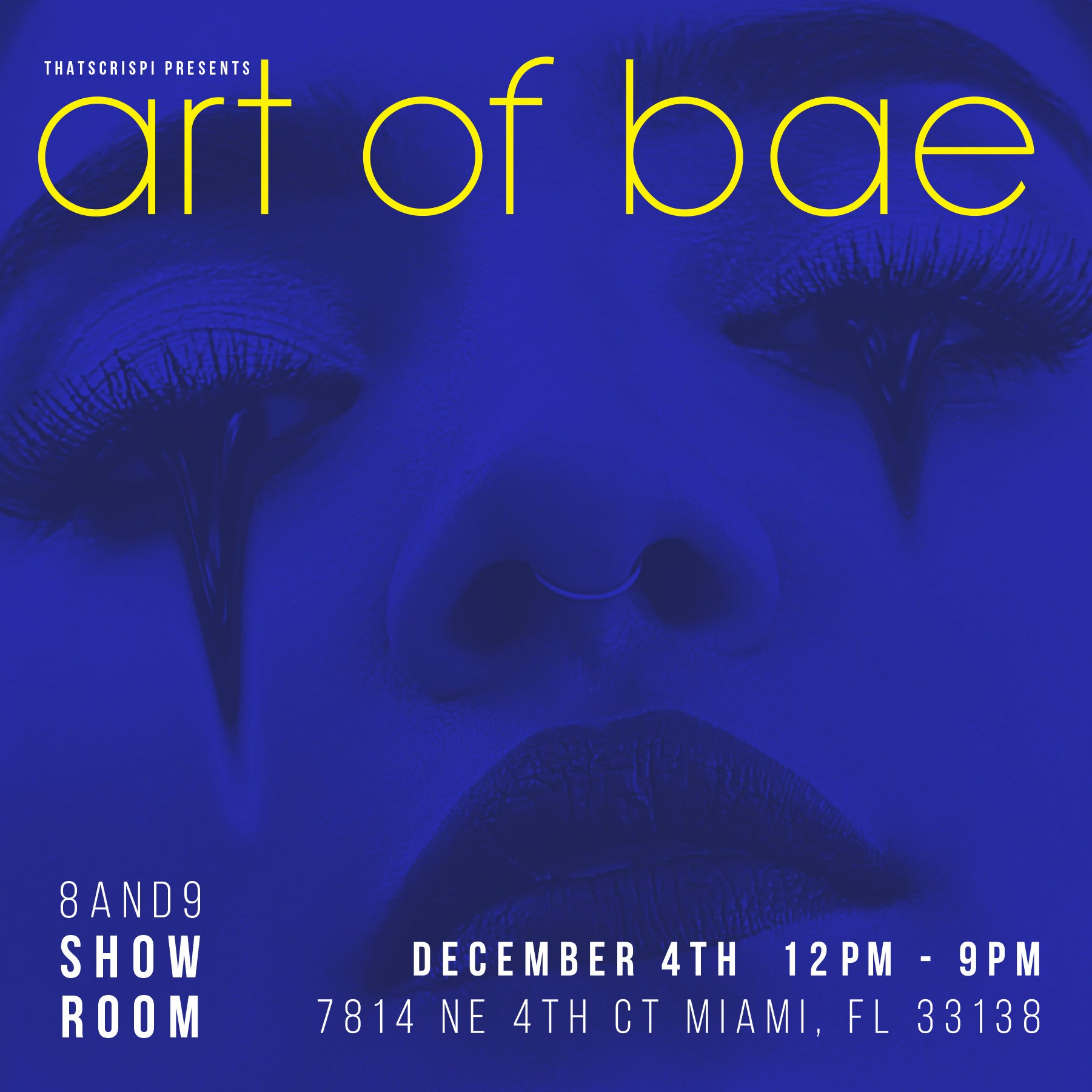 Dec. 4th The Art of Bae @ The Showroom