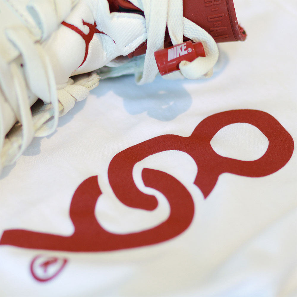 jordan 6 maroon t shirt